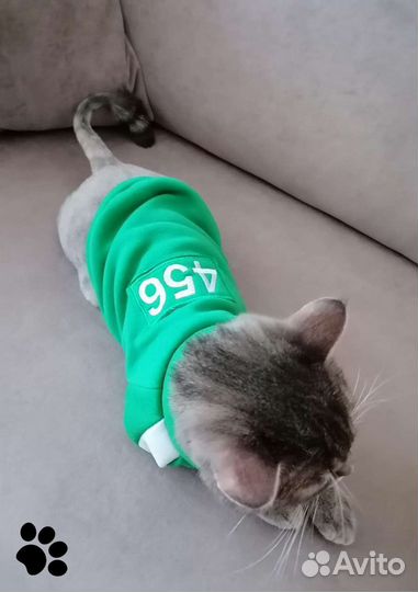 Толстовка для собак Одежда для маленьких и средних