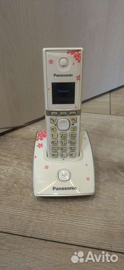 Panasonic
