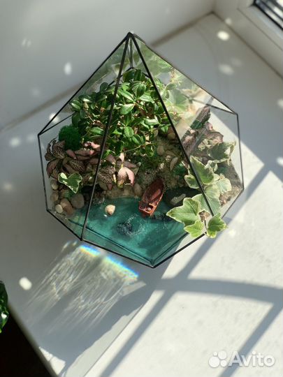 Флорарум с бонсай