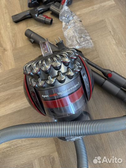 Dyson cinetic big ball animalpro 2