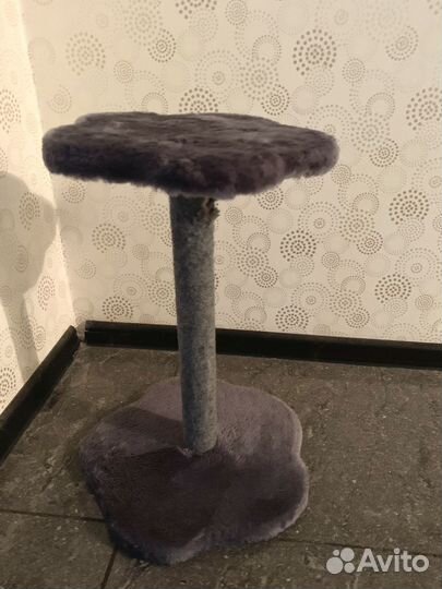 Когтеточка