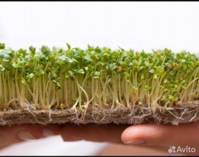 Коврики для микрозелени