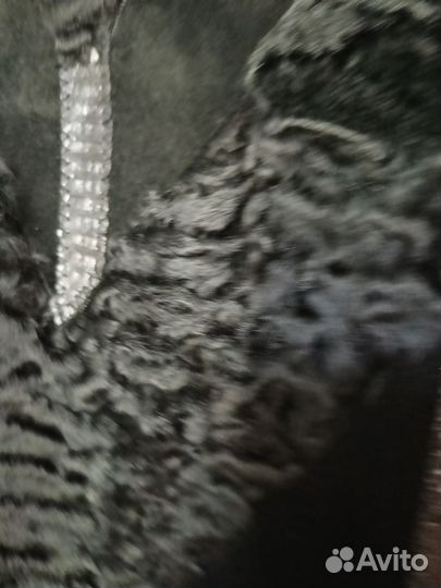 Свакара с норкой 60-66