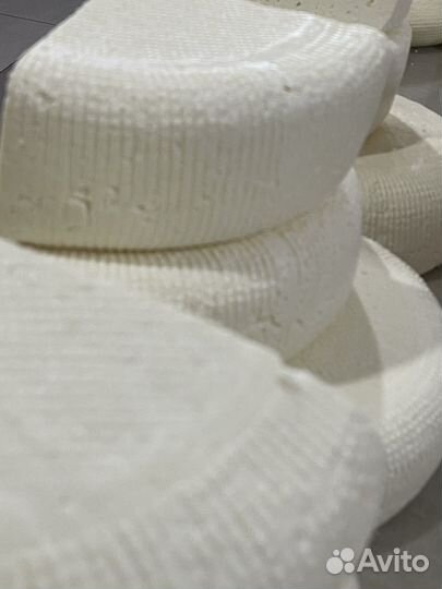 Сыр оптом