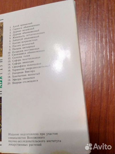 Открытки: Зеленая аптека и Комнатные цветы