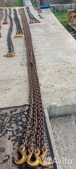 Паук цепной