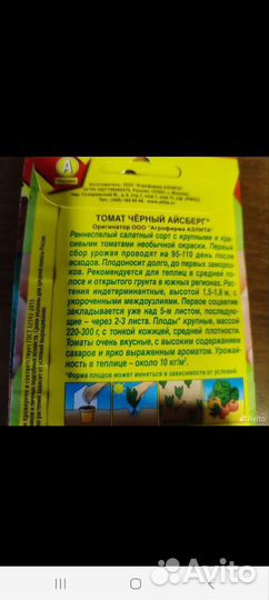 Рассада помидор