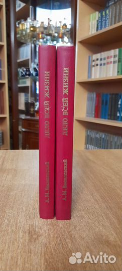 А. М. Василевский Дело всей моей жизни