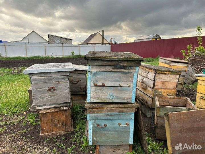 Улей для пчел