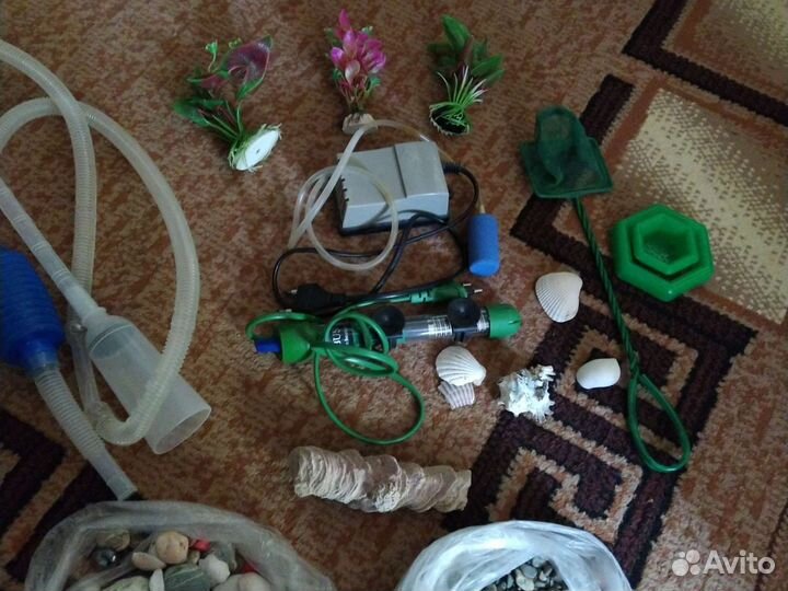 Аквариумная мелочь