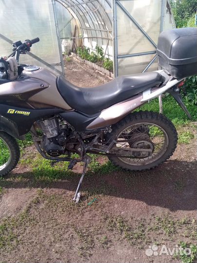 Райсер ренжер 200