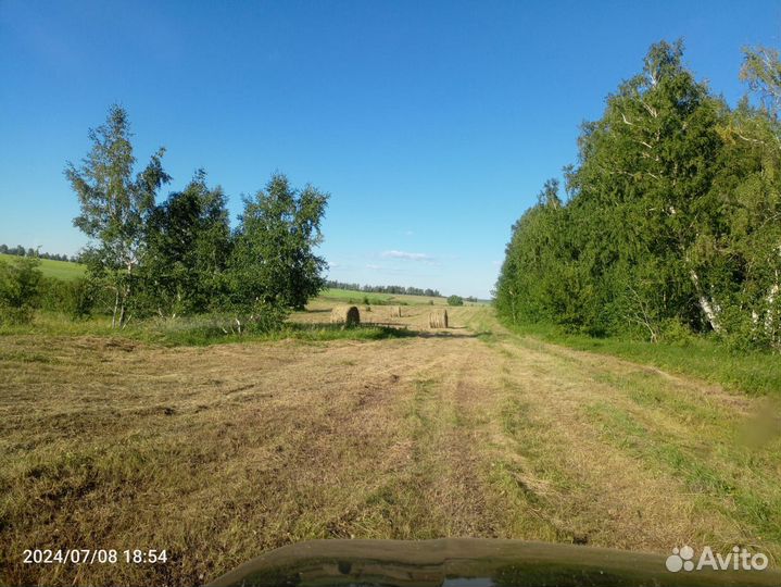 Сено в рулонах