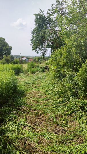 Участок 10 сот. (ИЖС)