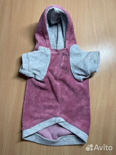 Одежда для собак мелких пород