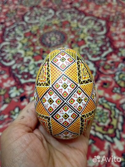 Яйцо страуса