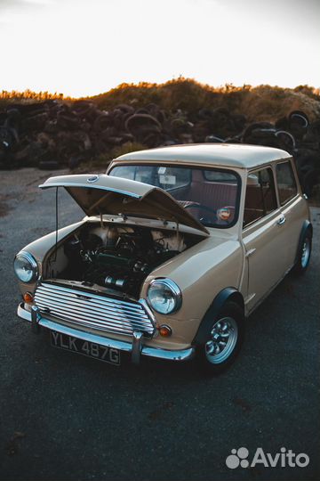 Автоэлектрик с выездом с 11 до 13689