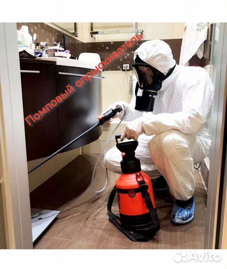 Дезинсекция от тараканов и клопов