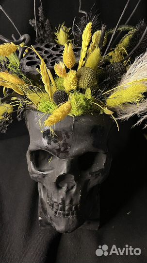 Гипсовый череп