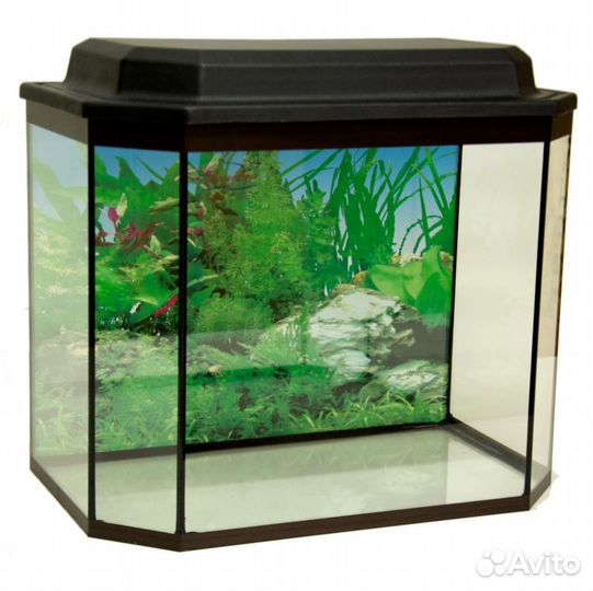 Аквариумы от 35 до 250 литров