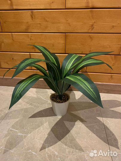 Исскуственное растение