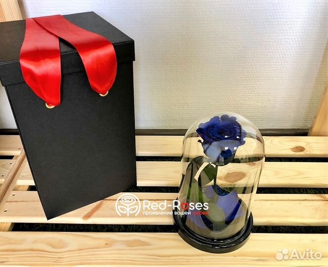 Вечная роза 23 см