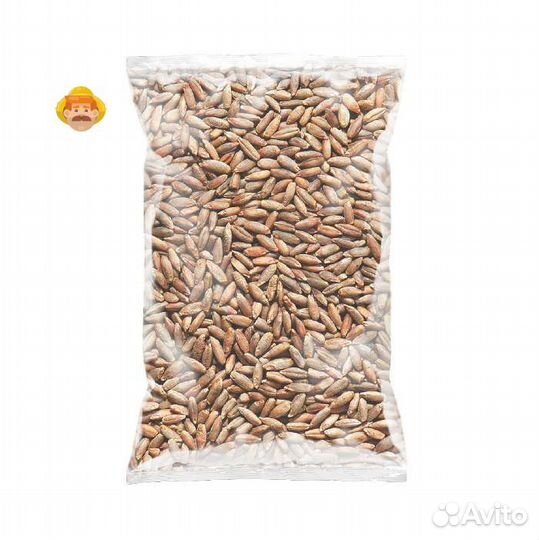 Солод ржаной ферментированный в зернах, 1 кг