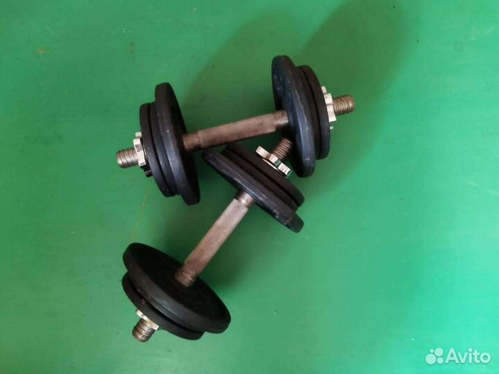 Гантели наборные 2 шт. по 10 кг