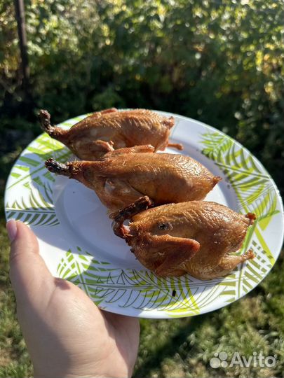 Копчёные куры, петушки, утки, перепела доставка