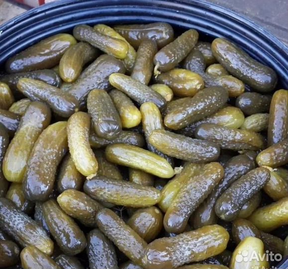 Огурцы соленые бочковые домашние
