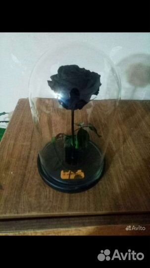 Подарок Роза в колбе