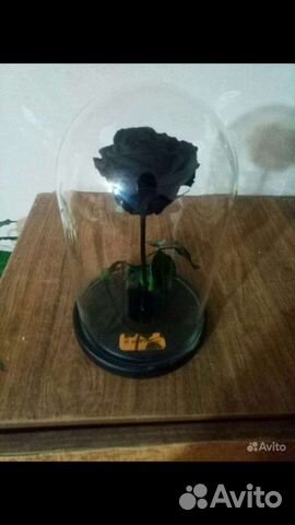 Подарок Роза в колбе