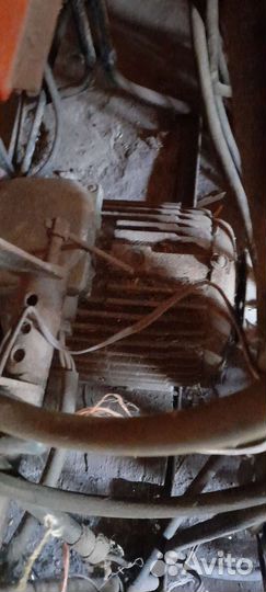 Крупарушка