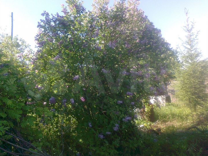 Дача 33 м² на участке 11 сот.