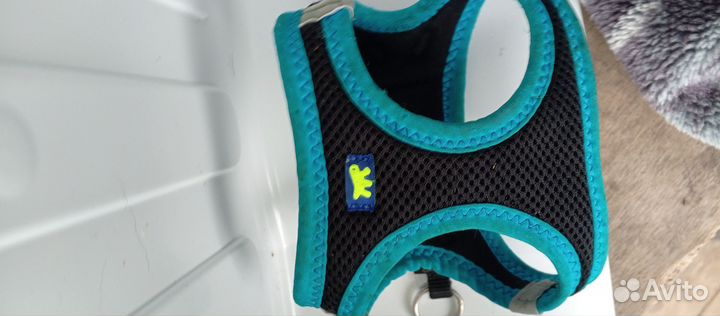 Шлейка для маленькой собаки