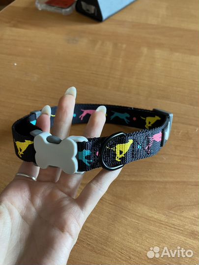 Ошейник для собак