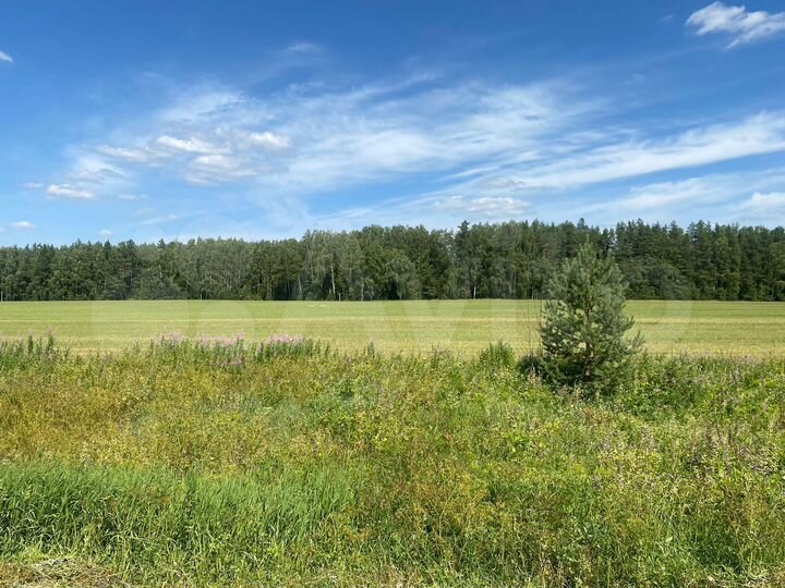 Участок 6,7 га (ИЖС)