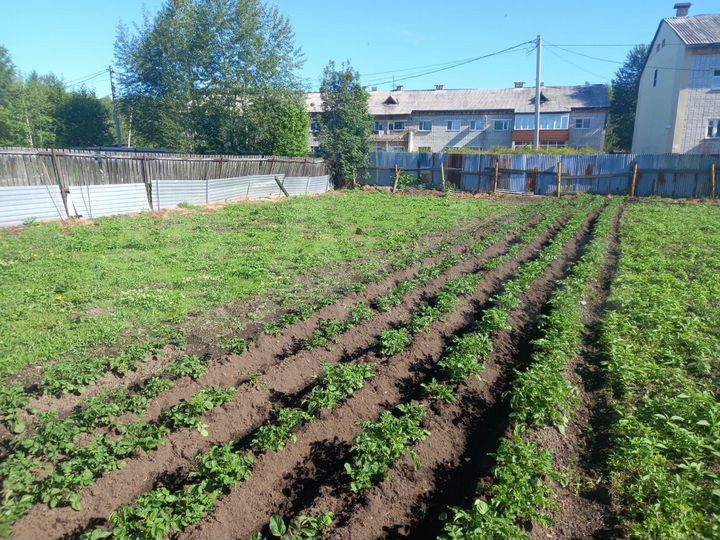 Дом 30 м² на участке 20 сот.