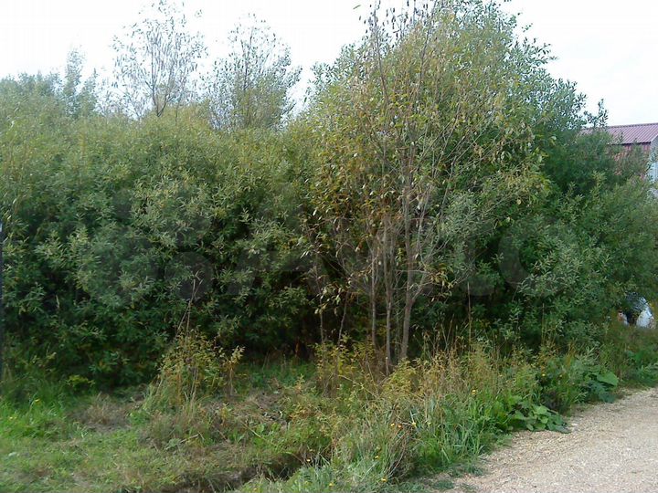 Участок 8 сот. (СНТ, ДНП)