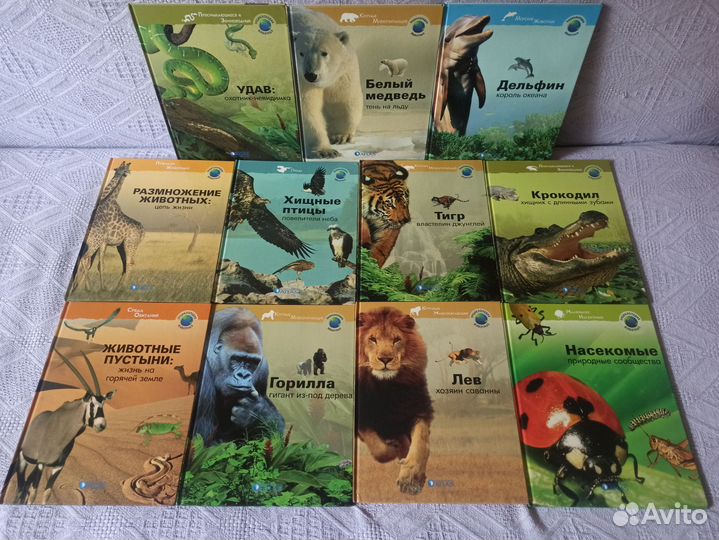 Книги пакетом