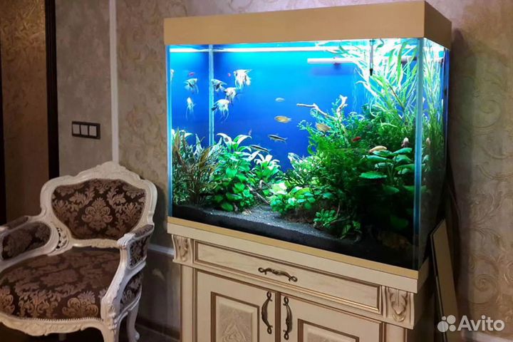 Обслуживание аквариумов