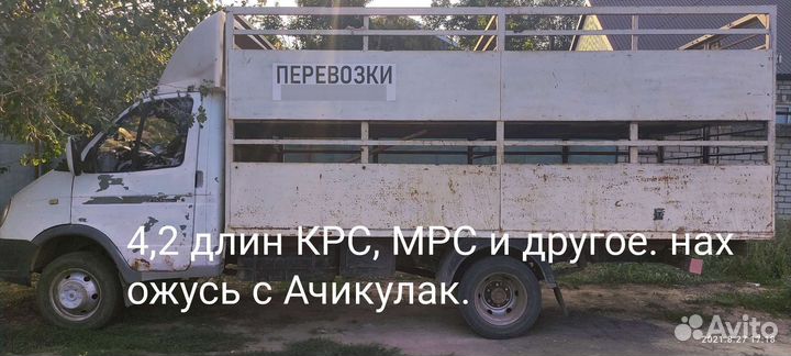 Скотовоз,барановоз,газель