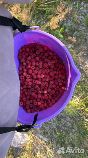 Аренда дома, бани, лодки, сап доски