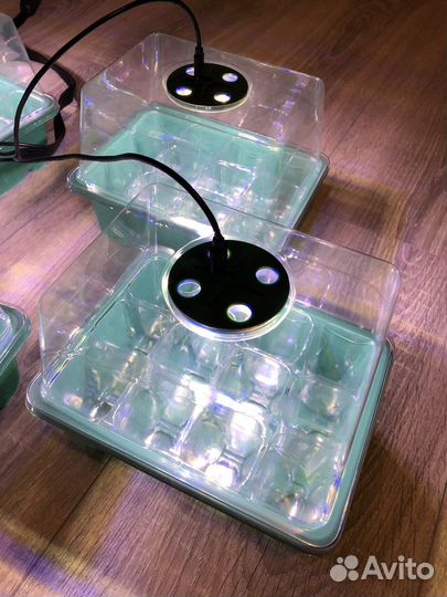 Лоток для рассады