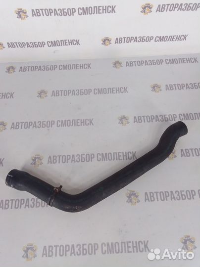 Патрубок радиатора mini Cooper I