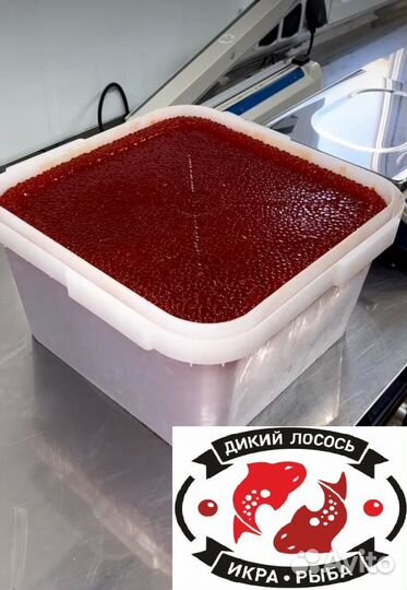 Икра красная 2023 - оптом / без посредников