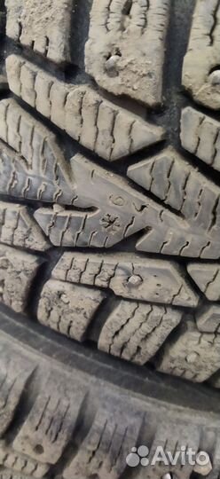 Nokian Tyres Hakkapeliitta 7 175/65 R14
