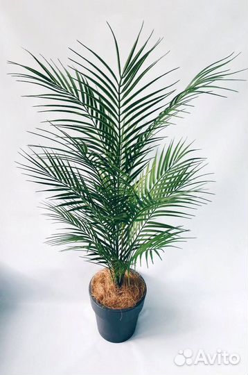 Пальма искусственная декоративная в кашпо