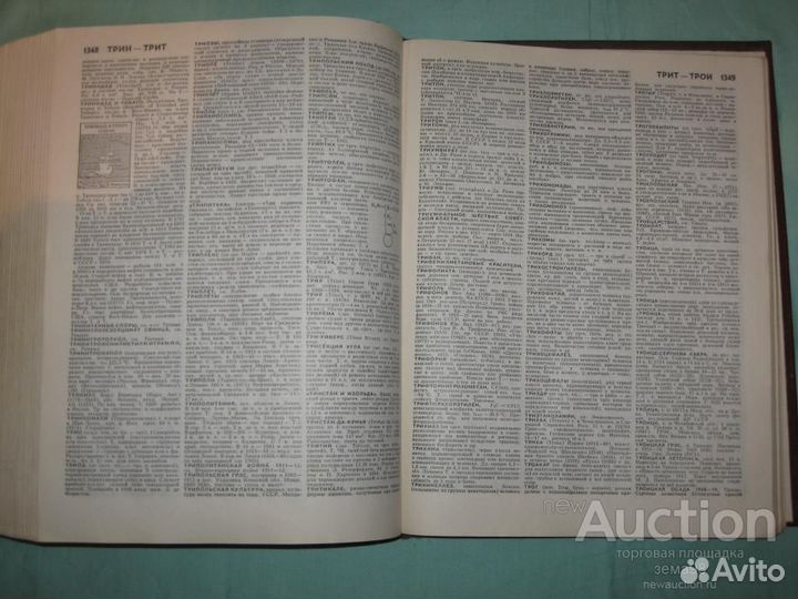 Советский энциклопедический словарь