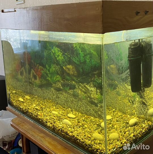 Аквариум