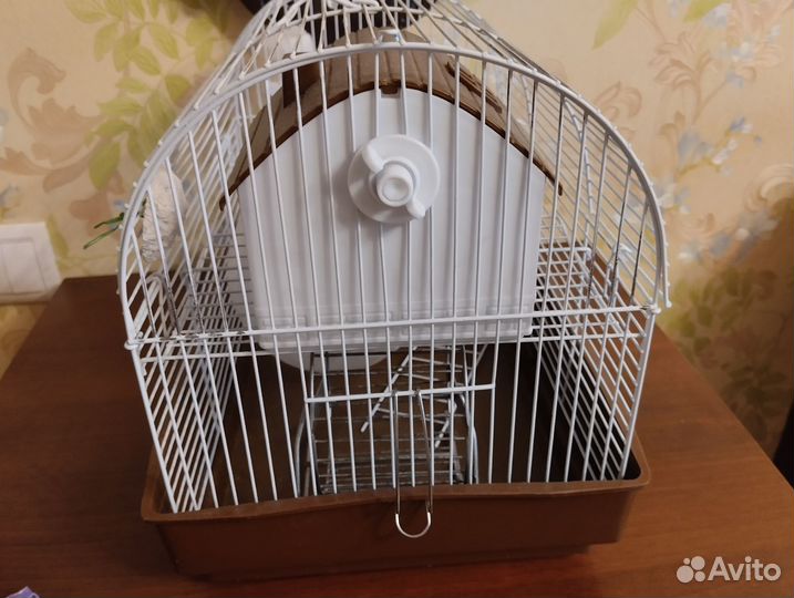 Клетка и все нужное для грызунов бу